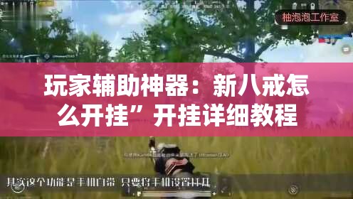 玩家辅助神器：新八戒怎么开挂”开挂详细教程