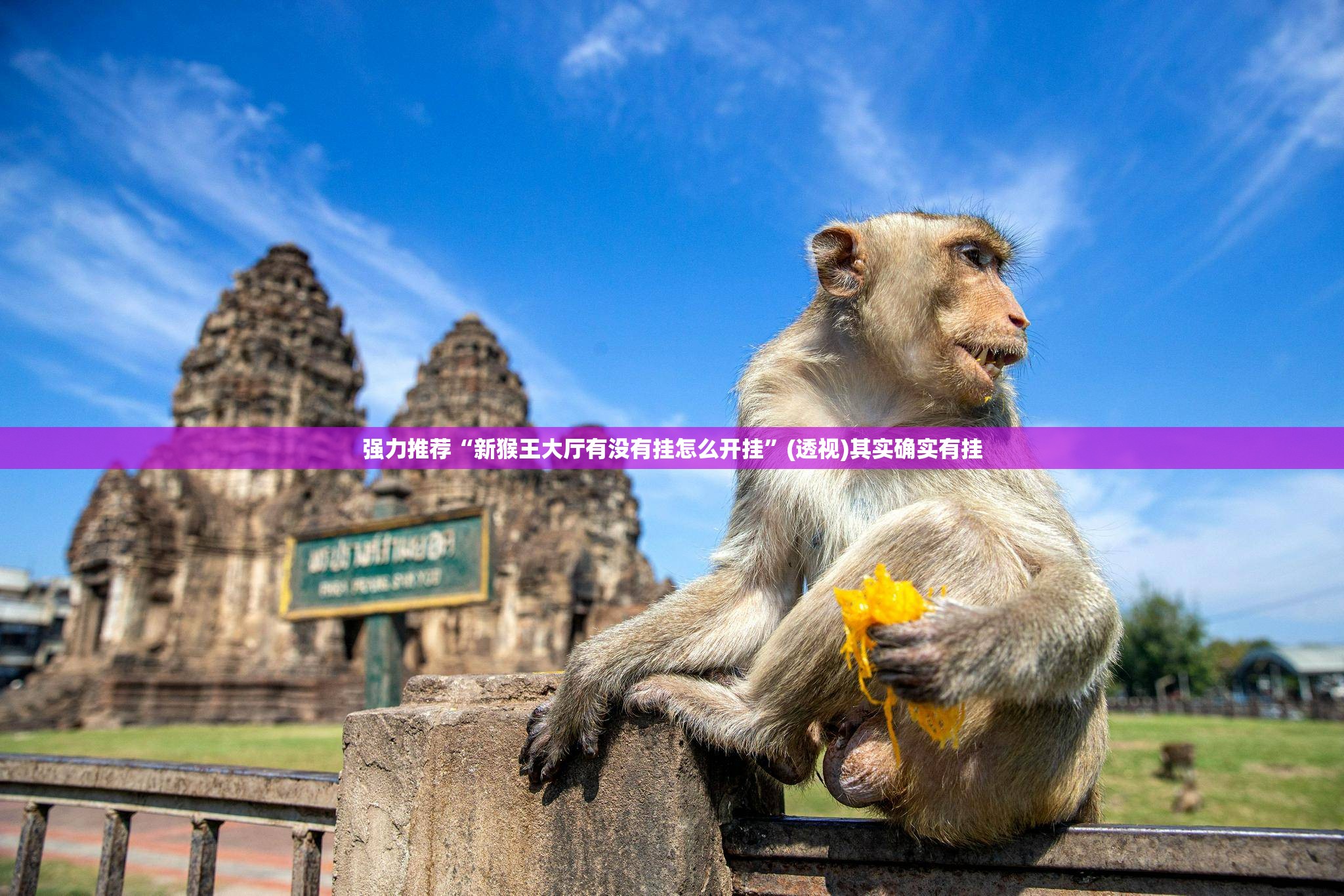 强力推荐“新猴王大厅有没有挂怎么开挂”(透视)其实确实有挂