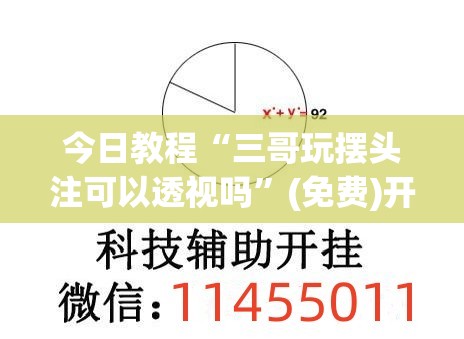 今日教程“三哥玩摆头注可以透视吗	”(免费)开挂辅助教学(最新辅助开挂教程)
