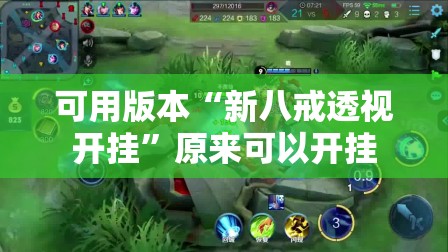 可用版本“新八戒透视开挂”原来可以开挂