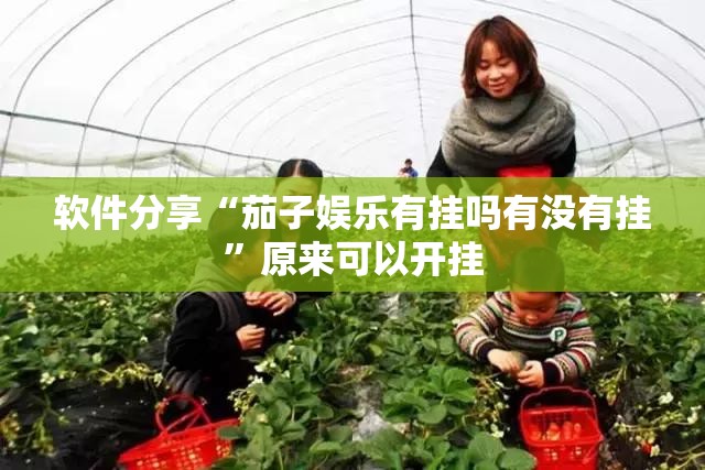 软件分享“茄子娱乐有挂吗有没有挂”原来可以开挂