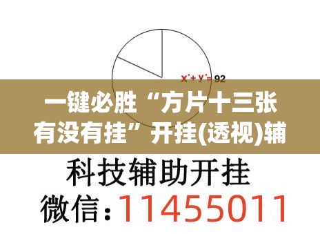 一键必胜“方片十三张有没有挂”开挂(透视)辅助神器