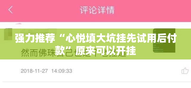 强力推荐“心悦填大坑挂先试用后付款”原来可以开挂