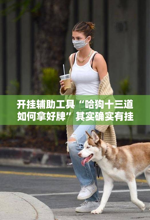 开挂辅助工具“哈狗十三道如何拿好牌”其实确实有挂