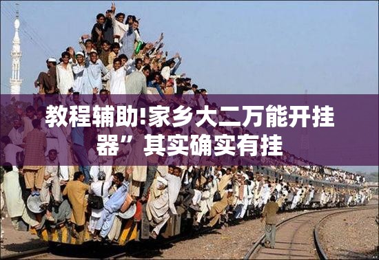 教程辅助!家乡大二万能开挂器”其实确实有挂
