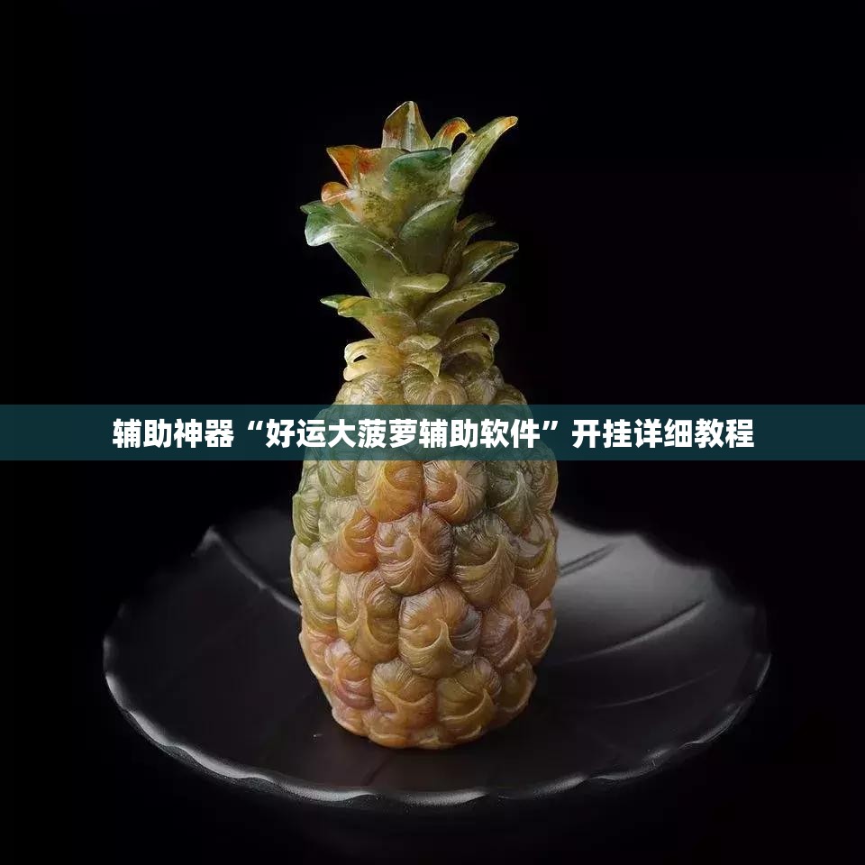 辅助神器“好运大菠萝辅助软件”开挂详细教程