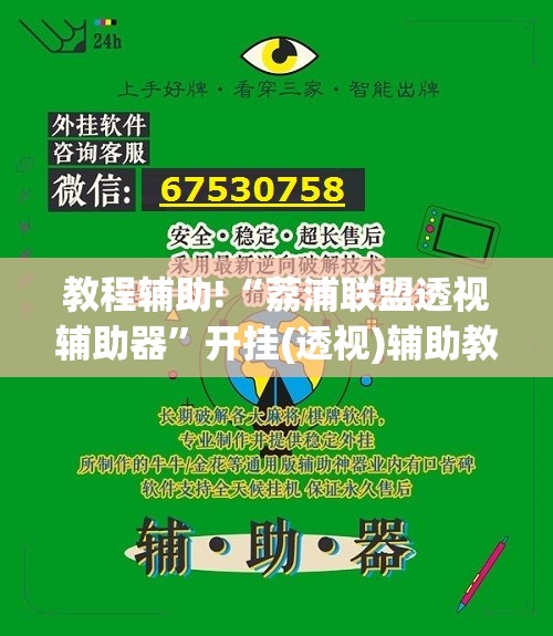 教程辅助!“荔浦联盟透视辅助器	”开挂(透视)辅助教程