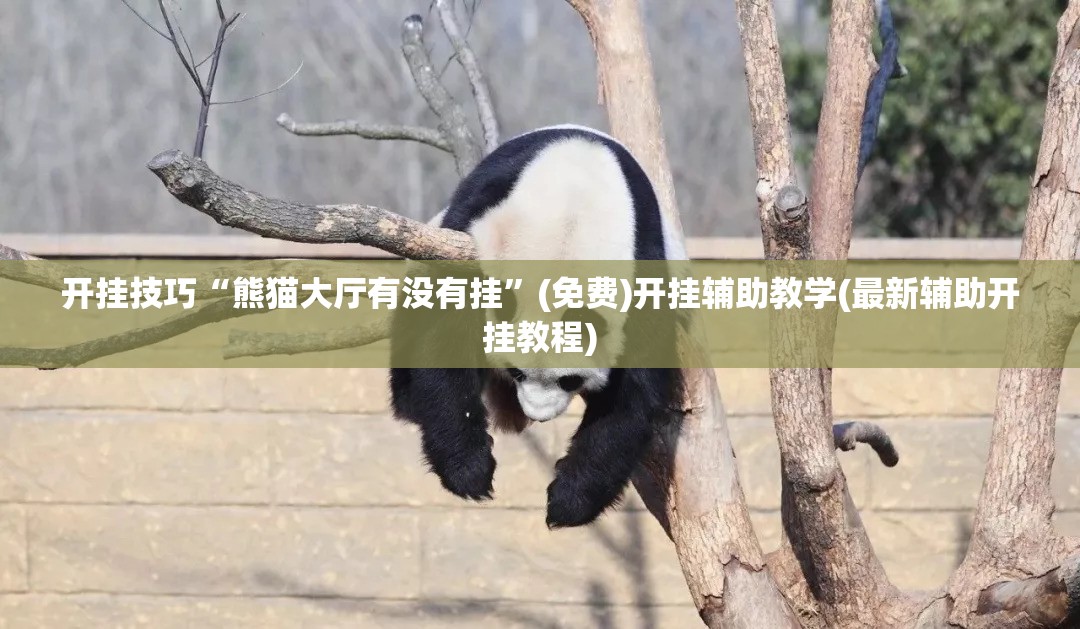 开挂技巧“熊猫大厅有没有挂	”(免费)开挂辅助教学(最新辅助开挂教程)
