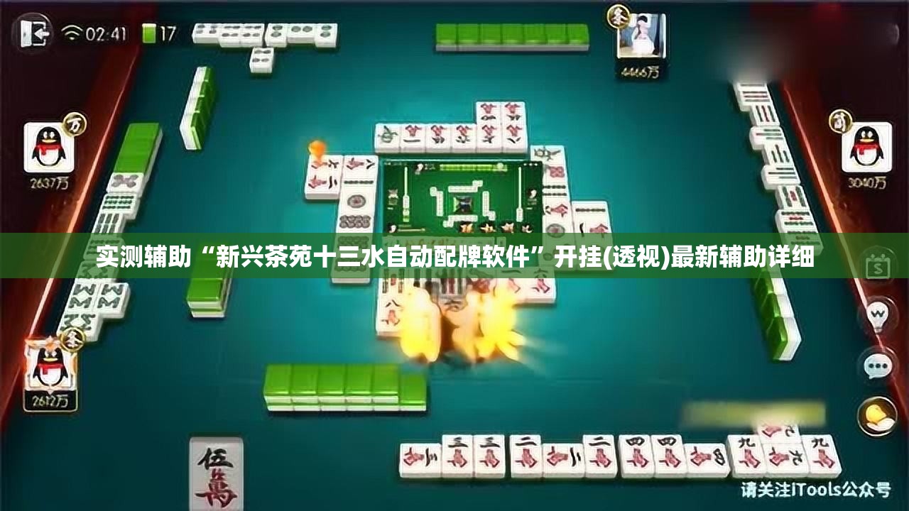 实测辅助“新兴茶苑十三水自动配牌软件”开挂(透视)最新辅助详细