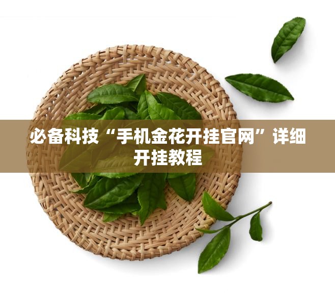 必备科技“手机金花开挂官网	”详细开挂教程