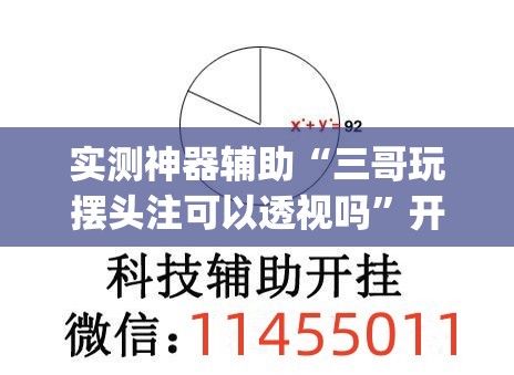 实测神器辅助“三哥玩摆头注可以透视吗”开挂(透视)辅助教程