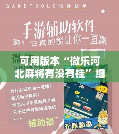 可用版本“微乐河北麻将有没有挂”细辅助教程分享