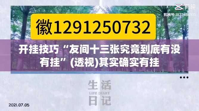开挂技巧“友间十三张究竟到底有没有挂	”(透视)其实确实有挂