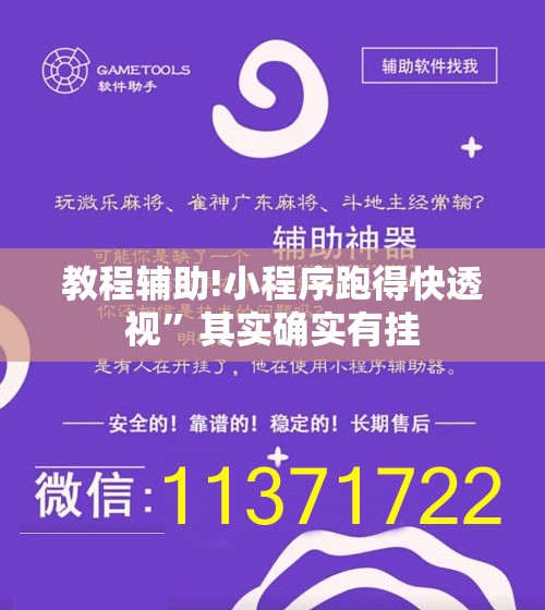 教程辅助!小程序跑得快透视	”其实确实有挂