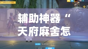 辅助神器“天府麻舍怎么开挂	”原来可以开挂
