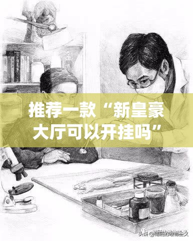 推荐一款“新皇豪大厅可以开挂吗”(辅助神器)开挂详细教程
