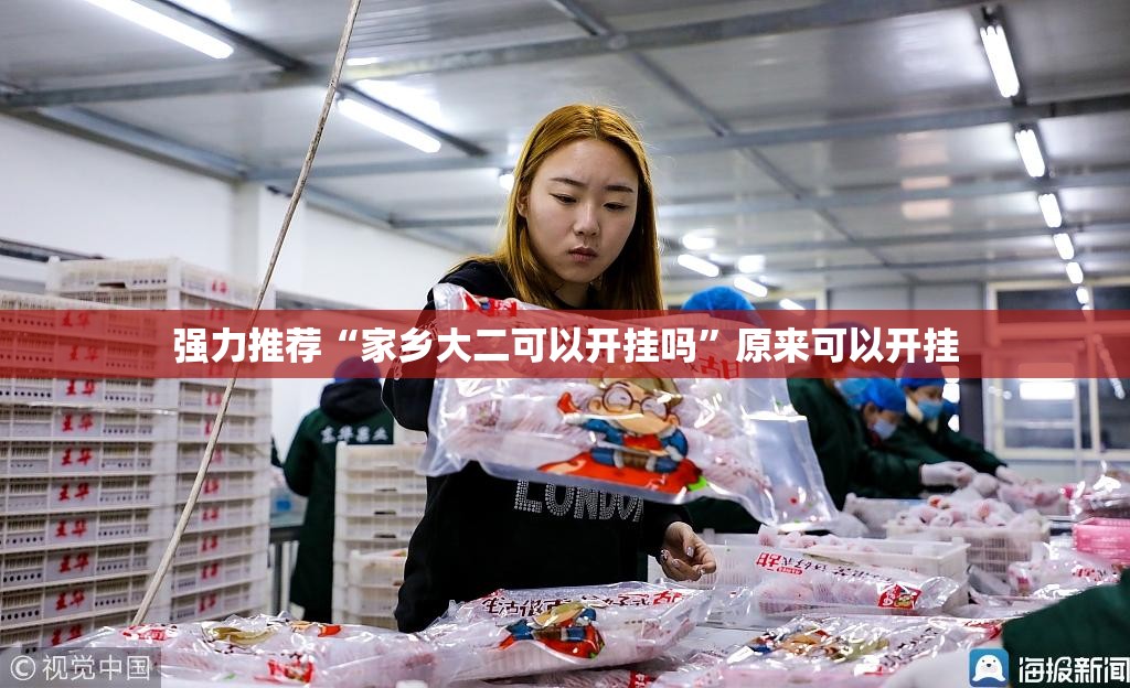 强力推荐“家乡大二可以开挂吗”原来可以开挂
