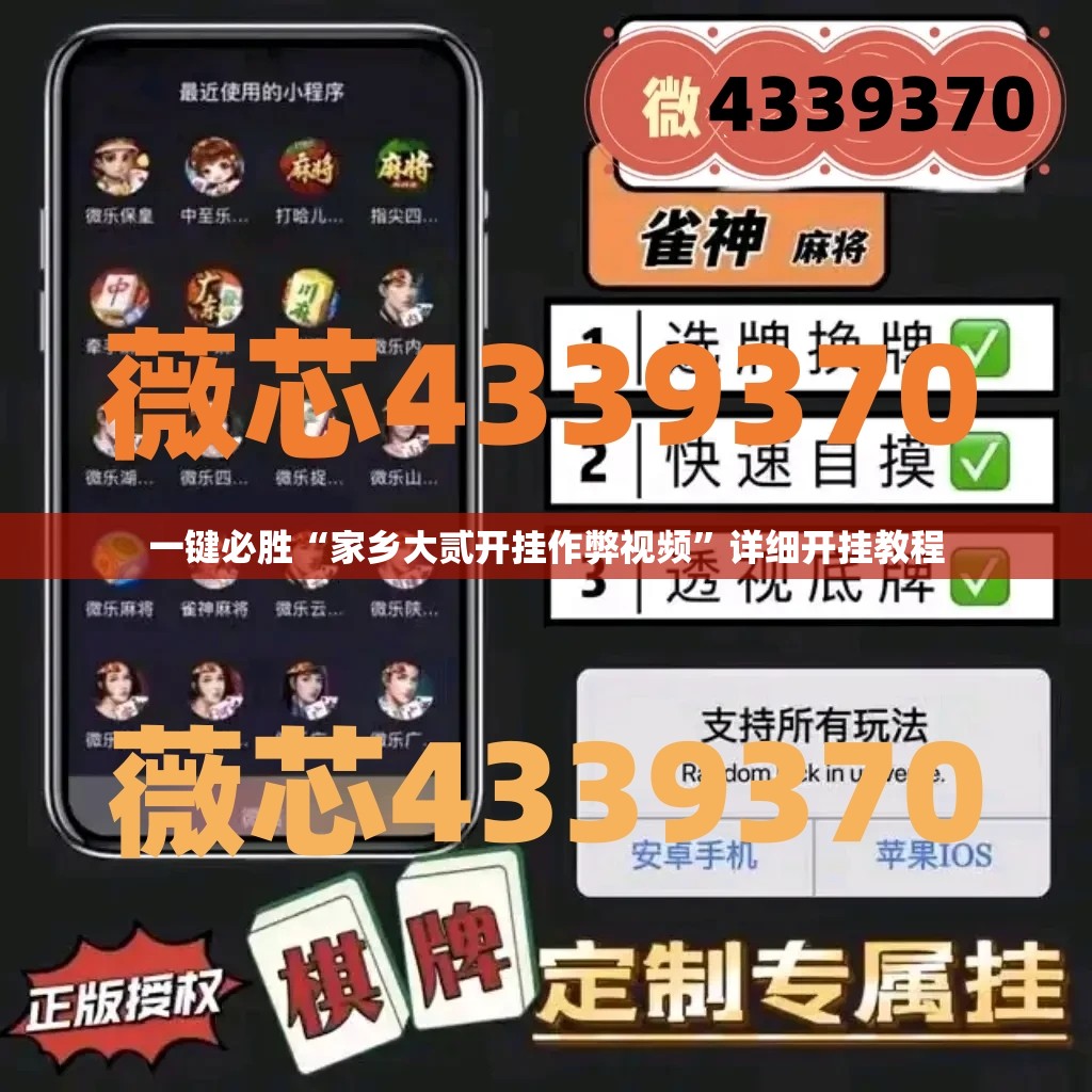 一键必胜“家乡大贰开挂作弊视频”详细开挂教程