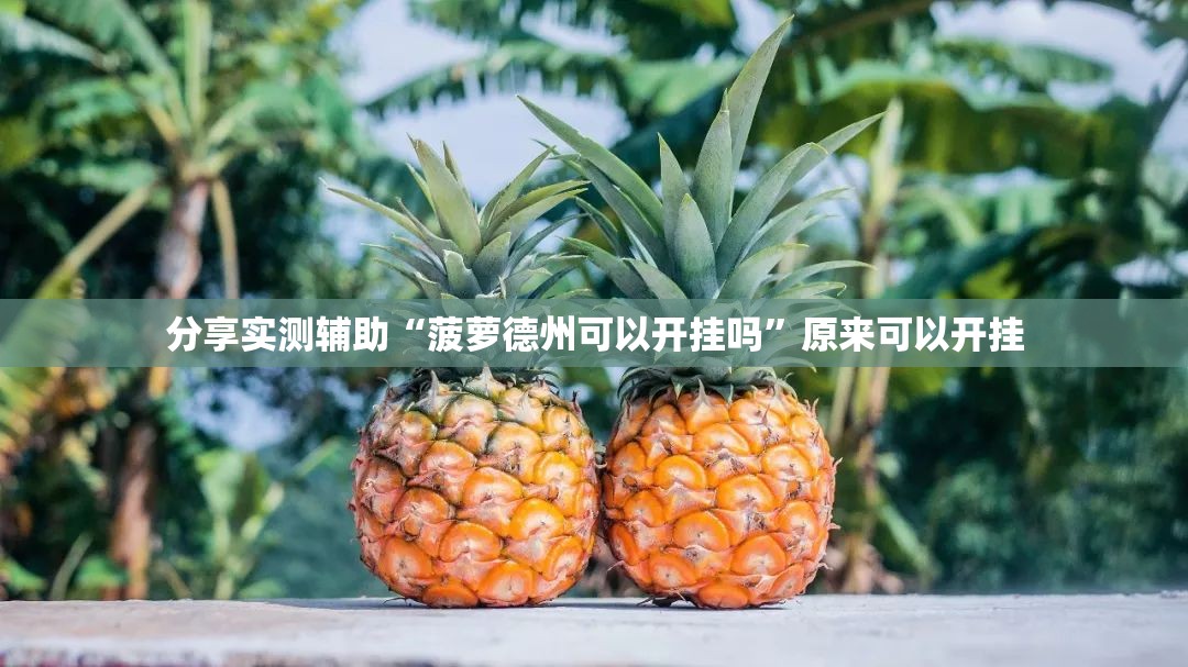 分享实测辅助“菠萝德州可以开挂吗”原来可以开挂