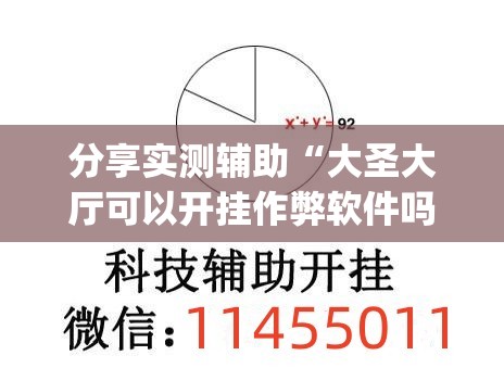 分享实测辅助“大圣大厅可以开挂作弊软件吗(透视)”开挂辅助脚本+详细开挂安装教程