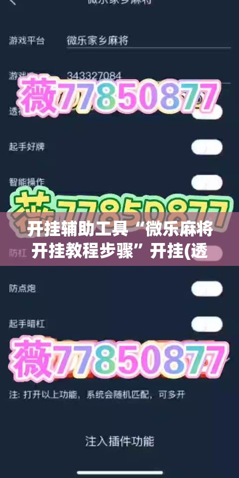 开挂辅助工具“微乐麻将开挂教程步骤”开挂(透视)最新辅助详细