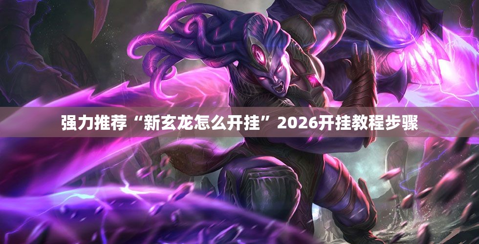 强力推荐“新玄龙怎么开挂”2026开挂教程步骤