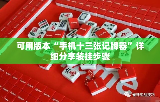 可用版本“手机十三张记牌器”详细分享装挂步骤