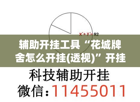 辅助开挂工具“花城牌舍怎么开挂(透视)”开挂辅助脚本+详细开挂安装教程