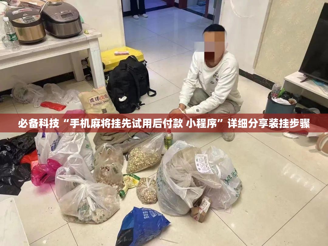必备科技“手机麻将挂先试用后付款 小程序”详细分享装挂步骤