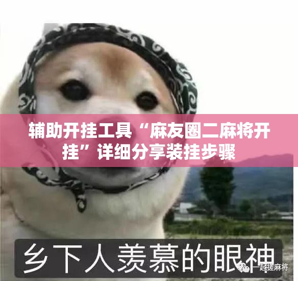 辅助开挂工具“麻友圈二麻将开挂”详细分享装挂步骤