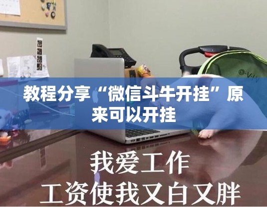 教程分享“微信斗牛开挂”原来可以开挂