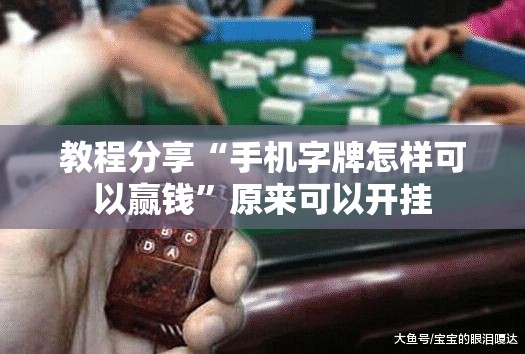 教程分享“手机字牌怎样可以赢钱”原来可以开挂