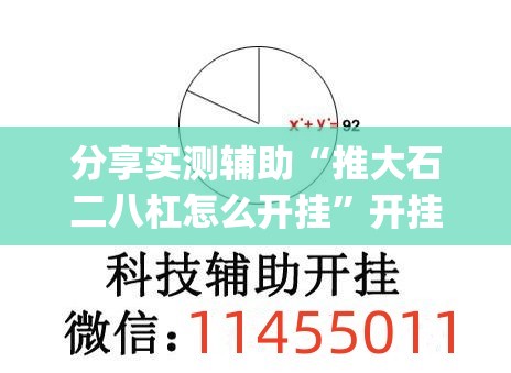分享实测辅助“推大石二八杠怎么开挂”开挂(透视)最新辅助详细