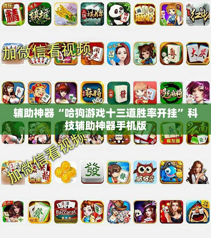辅助神器“哈狗游戏十三道胜率开挂”科技辅助神器手机版