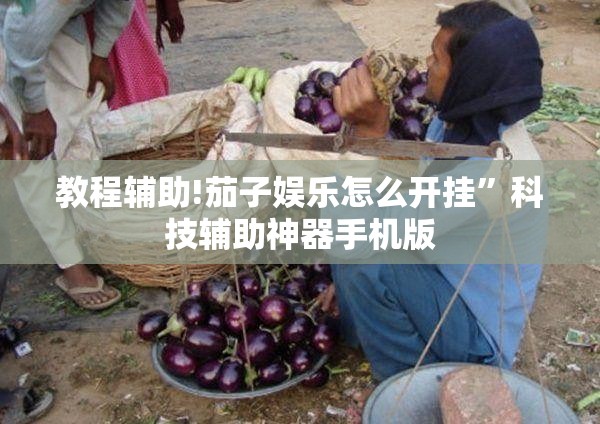 教程辅助!茄子娱乐怎么开挂”科技辅助神器手机版
