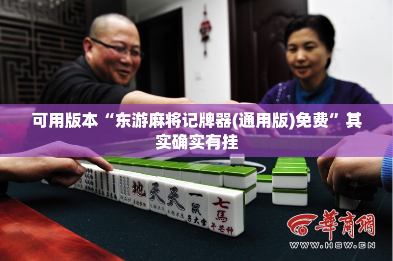 可用版本“东游麻将记牌器(通用版)免费”其实确实有挂