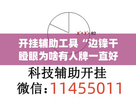 开挂辅助工具“边锋干瞪眼为啥有人牌一直好(透视)”开挂辅助脚本+详细开挂安装教程