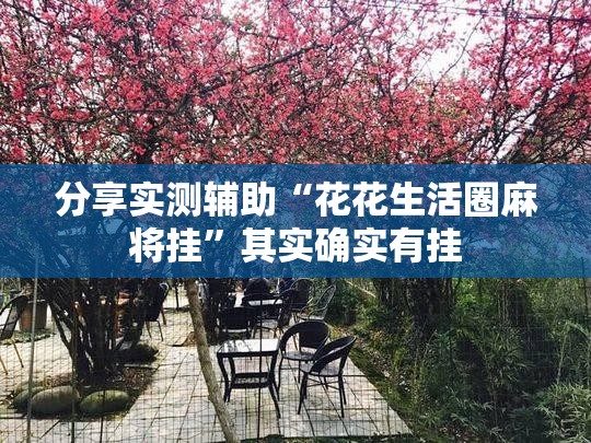 分享实测辅助“花花生活圈麻将挂”其实确实有挂