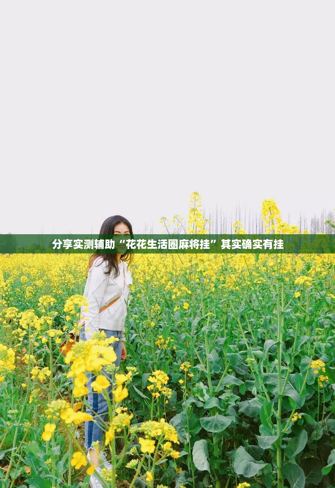 分享实测辅助“花花生活圈麻将挂	”其实确实有挂