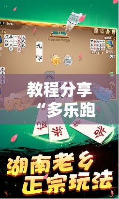 教程分享“多乐跑胡子有挂吗”细辅助教程分享