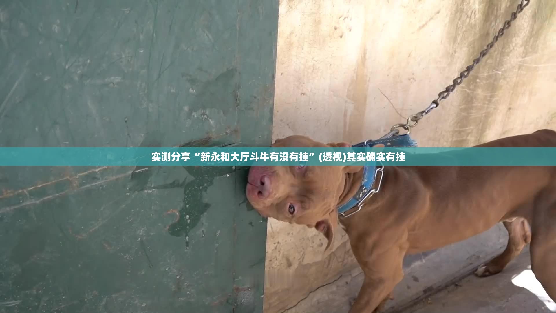 实测分享“新永和大厅斗牛有没有挂”(透视)其实确实有挂