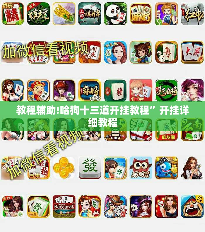 教程辅助!哈狗十三道开挂教程”开挂详细教程
