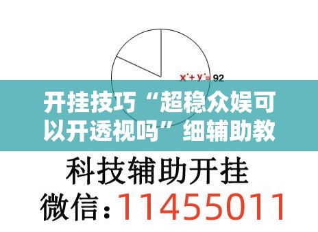 开挂技巧“超稳众娱可以开透视吗”细辅助教程分享