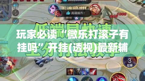 玩家必读“微乐打滚子有挂吗”开挂(透视)最新辅助详细