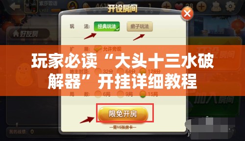 玩家必读“大头十三水破解器”开挂详细教程