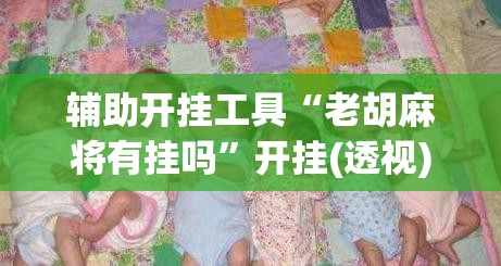 辅助开挂工具“老胡麻将有挂吗”开挂(透视)辅助教程