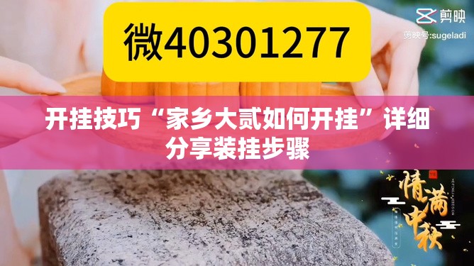 开挂技巧“家乡大贰如何开挂”详细分享装挂步骤