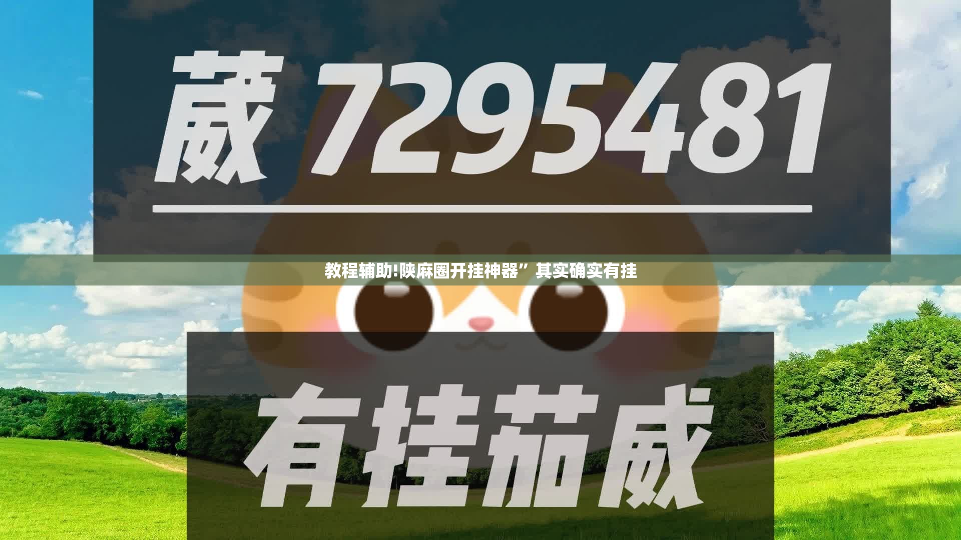 教程辅助!陕麻圈开挂神器	”其实确实有挂