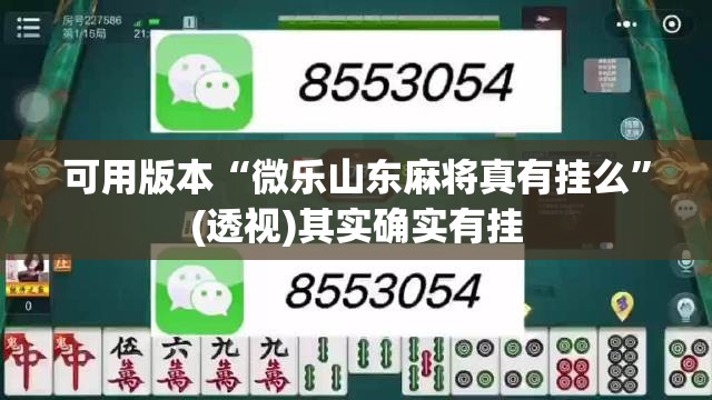 可用版本“微乐山东麻将真有挂么	”(透视)其实确实有挂