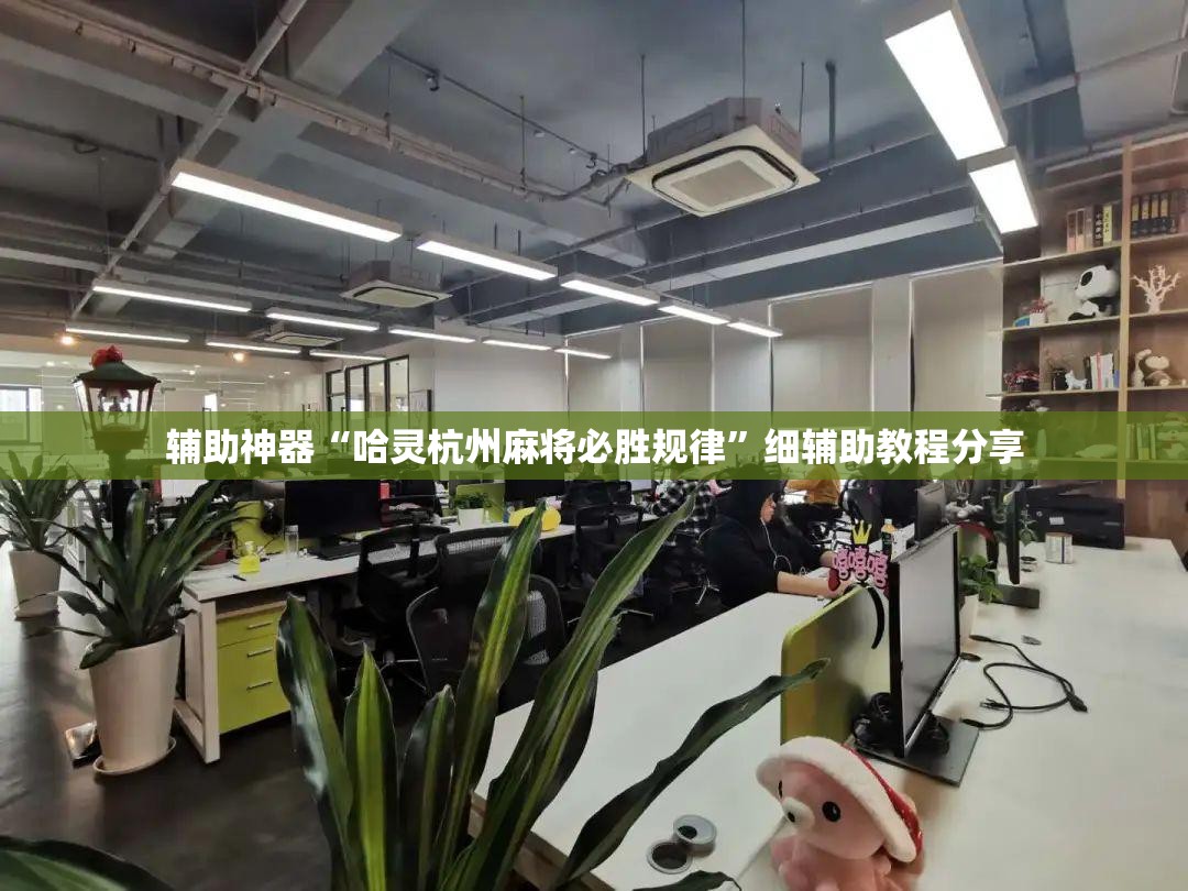 辅助神器“哈灵杭州麻将必胜规律”细辅助教程分享